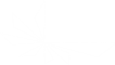 L-Lúč o.z.